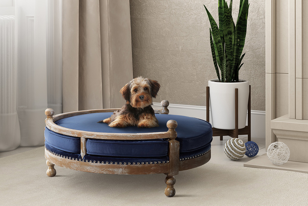 Designing the Perfect Pet Room Ideas Decor Furniture